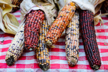 Various type of corns on a table