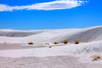 Landscape of  White Sand National Monument