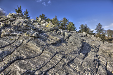 Powillimount Rock Formations and Trees HDR