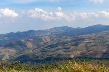 Fototapeta na wymiar mountain in Phu Lom Lo