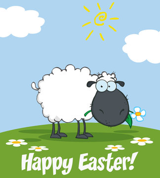 Black Sheep Cartoon Character Eating A Flower. Illustration Greeting Card