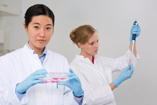 Female scientists working in laboratory. Examining cell growth in 6-well plate (front), examining solution of cell secreting products (back)