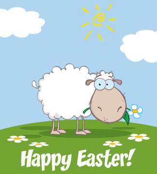 White Sheep Cartoon Character Eating A Flower. Illustration Greeting Card