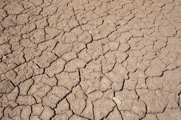 Cracked earth drought