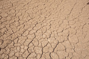Cracked earth drought