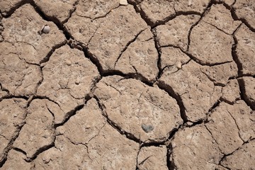 Cracked earth drought