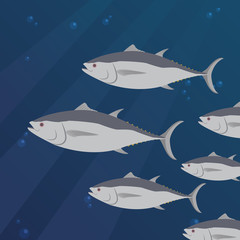 Naklejka premium Group of tuna fish swimming