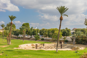 Fototapeta premium City park with palm trees