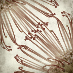 textured old paper background