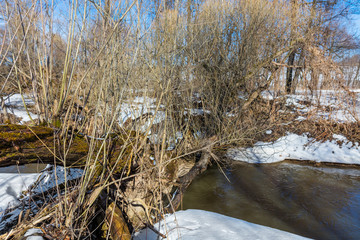 Forest river at early spring