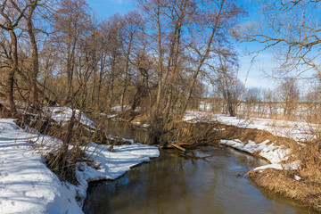 Forest river at early spring