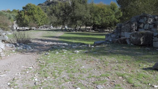 Pair of turtles going in different directions. 4k