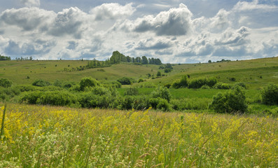 Fototapeta na wymiar Countryside summer landscape