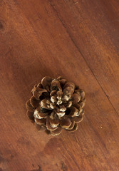 Photo of large pine cone on dark wooden texture