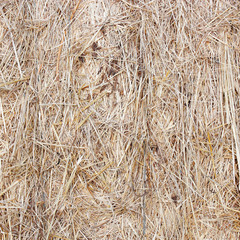 straw bale texture