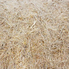 straw bale texture