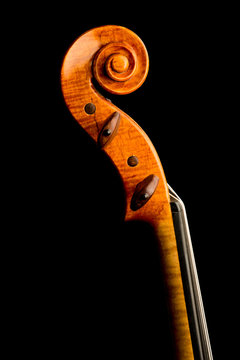 Violin on Black