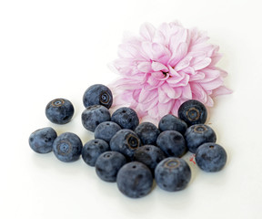 Group of fresh blueberries isolated on white background.