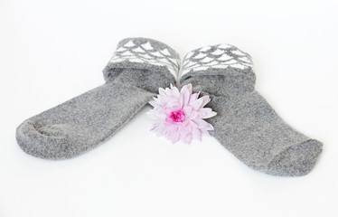 Gift cute lady. Soft woolen socks and pink chrysanthemum