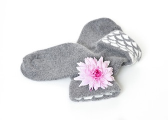 Gift cute lady. Soft woolen socks and pink chrysanthemum
