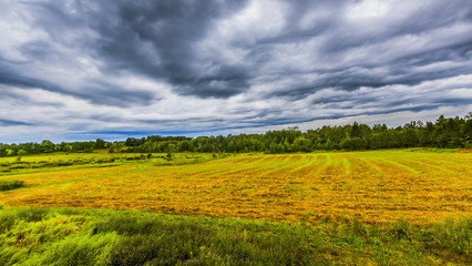 Fototapeta premium scenic view of rural countryside