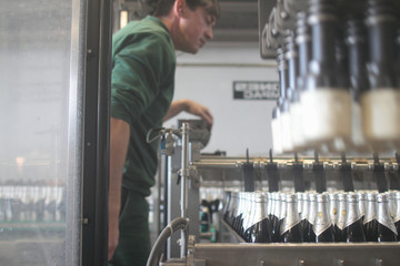 Brewery worker operating bottling machine