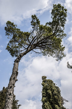 Castello di Fumone e dintorni
