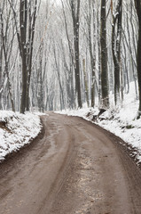 Winter forest road with dark trees, ground covered with snow