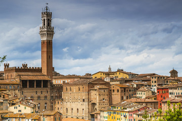 Fototapeta premium Architecture of Sienna city, Italy