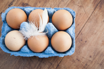 Still life of six brown eggs in blue egg box