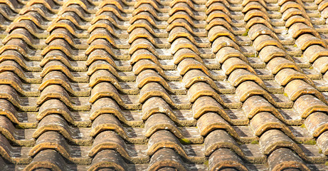 Tile roof