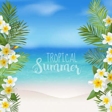 Tropical Background. Palm Leaves. Sea View Background. 