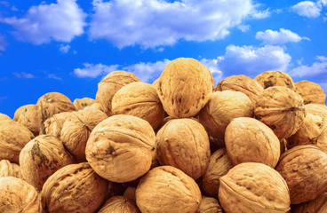 Dried walnuts closeup on the blue sky background
