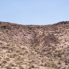 desert landscape with bushes and cacti, vintage filter. 