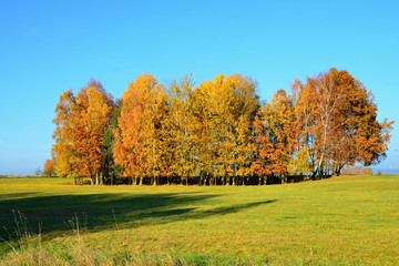 Fototapeta premium Autumn meadow in the Czech Republic 2015 