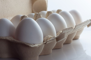 Eggs lit morning light from the window.