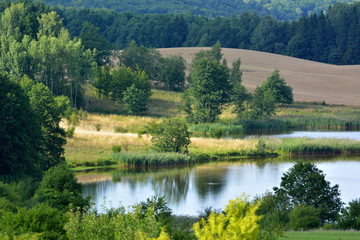 Fototapeta na wymiar Summer landscape with fields and lake