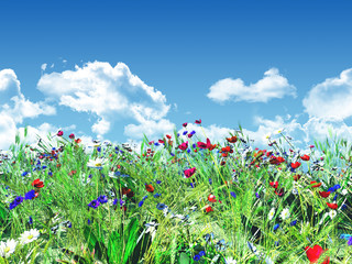Naklejki  Krajobraz dzikich kwiatów 3D