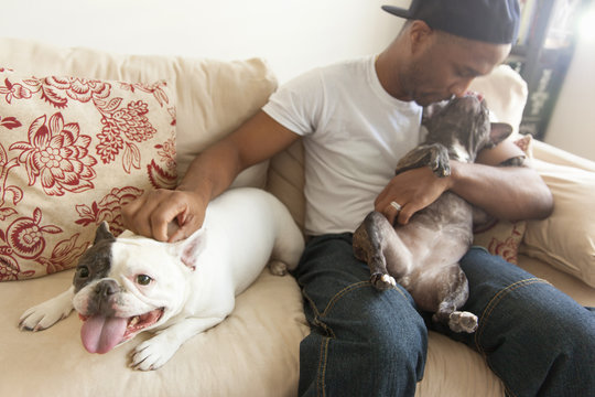 Mid adult man sitting with two french bulldogs