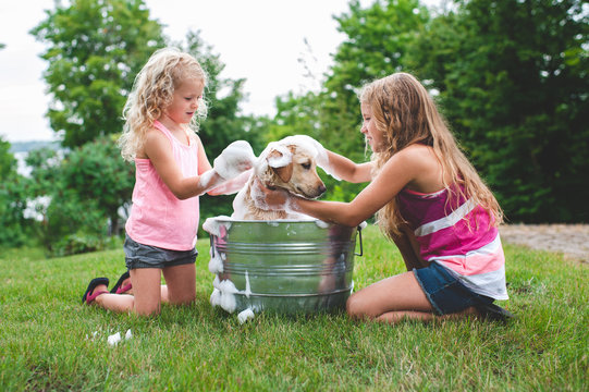Two sisters bathing pet Labrador Retriever puppy