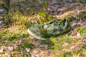 rotten shoe lying on forest ground.