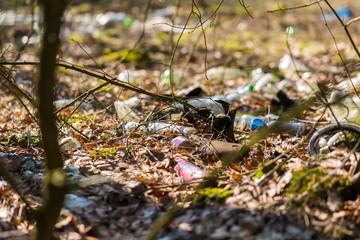 Naklejka na ściany i meble Illegal garbage in spring forest