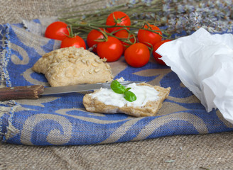 A piece of bread with stracchino cheese. Closeup
