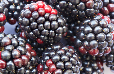 Organic mature blackberries background. Closeup