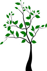 Obraz premium Cute blue toucan bird cartoon