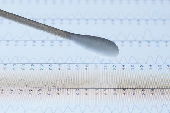 Cotton swab with saliva sample over the screen of a tablet computer that displays results of automated DNA sequencing