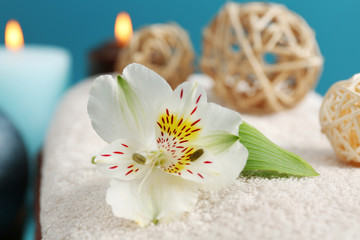 Obraz na płótnie Canvas Spa set: soft towel, flowers, massage oil, candles, sea salt, close up