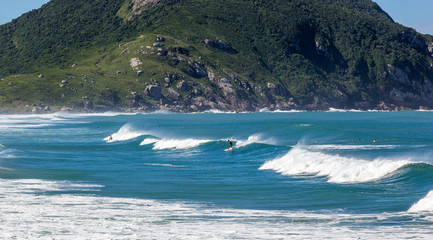 Fototapeta premium Surfando na Praia do Santinho, Florianópolis, Brasil.