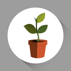 Natural and eco  design, vector illustration