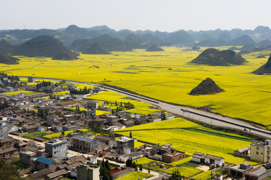 Village and highway next to fields with yellow blooming oil seed rape plants, Luoping,Yunnan, China